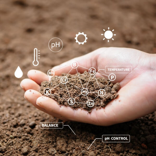 Curso online de Contaminación de suelos Curso online de Contaminación de suelos