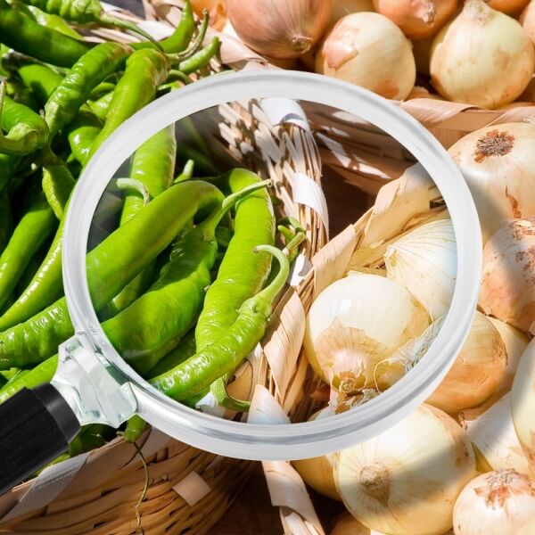 Sistema APPCC y prácticas correctas de higiene - Agrario Sistema APPCC y prácticas correctas de higiene - Agrario