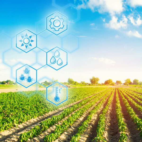 Sostenibilidad global de la cadena alimentaria Sostenibilidad global de la cadena alimentaria