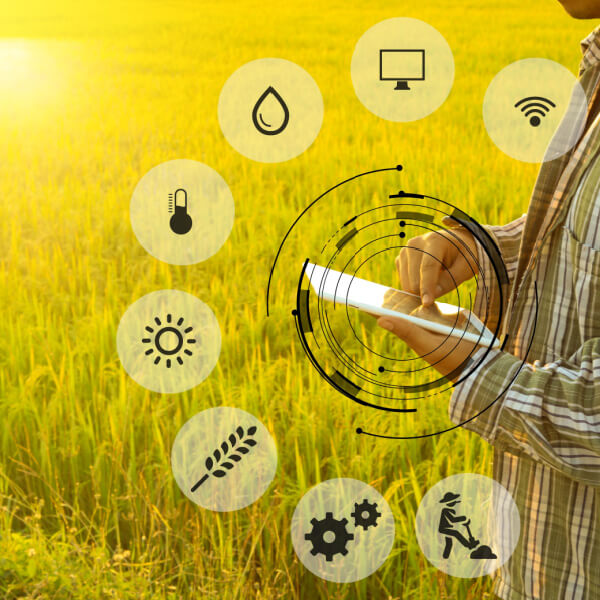 Gestión e incorporación a la empresa agraria Gestión e incorporación a la empresa agraria