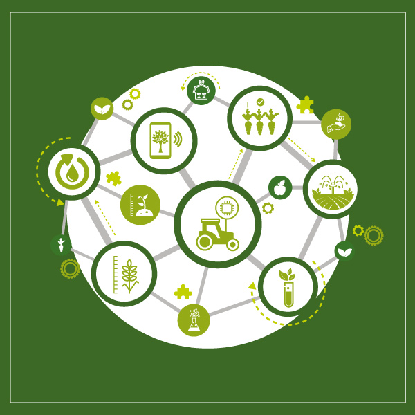 Iniciación APPCC en la industria agroalimentaria Iniciación APPCC en la industria agroalimentaria