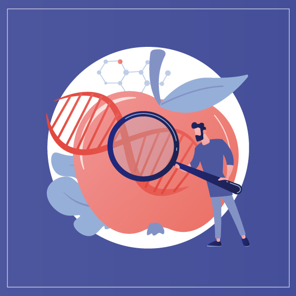 Ley de seguridad alimentaria y nutrición Ley de seguridad alimentaria y nutrición