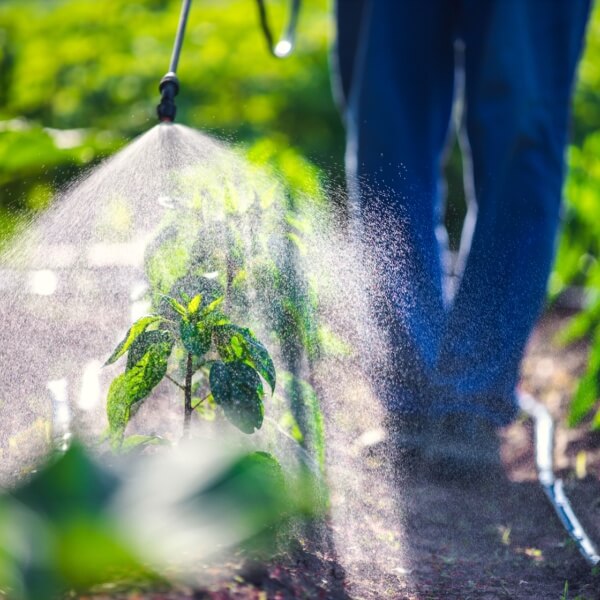 Medios y productos para el control de plagas - Agricultura Medios y productos para el control de plagas - Agricultura