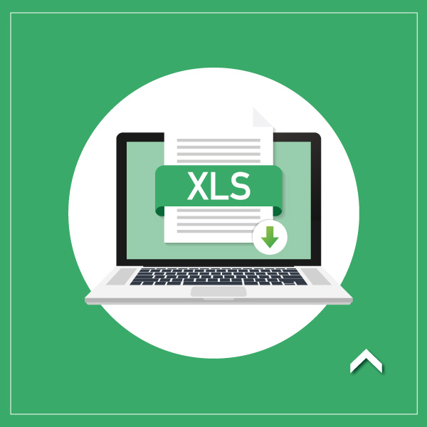 Curso privado de microsoft excel (básico) Curso privado de microsoft excel (básico)