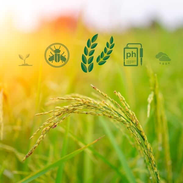 Seguridad, higiene y prevención para recolectores - LABORA Seguridad, higiene y prevención para recolectores - LABORA