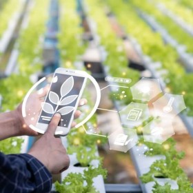 Agricultura ecológica en la explotación agrícola- agrario