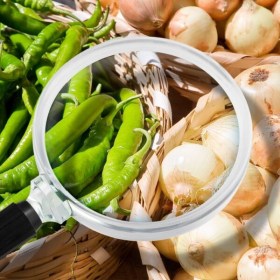 Sistema APPCC y prácticas correctas de higiene - Agrario