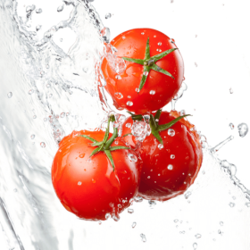 Manipulación en crudo y conservación de alimentos - sector servicios