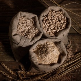 Producción de piensos - sector agrario