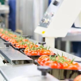 Producción responsable y sostenible en la industria agroalimentaria - Agricultura