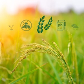 Seguridad, higiene y prevención para recolectores - LABORA