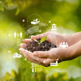 Riesgos ambientales en el sector de la recuperación_curso