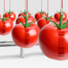 Curso online de Legislación y normativa alimentaria