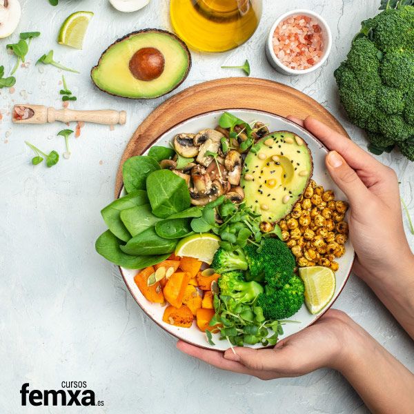 Dietas especiales: qué son, tipos y ejemplos