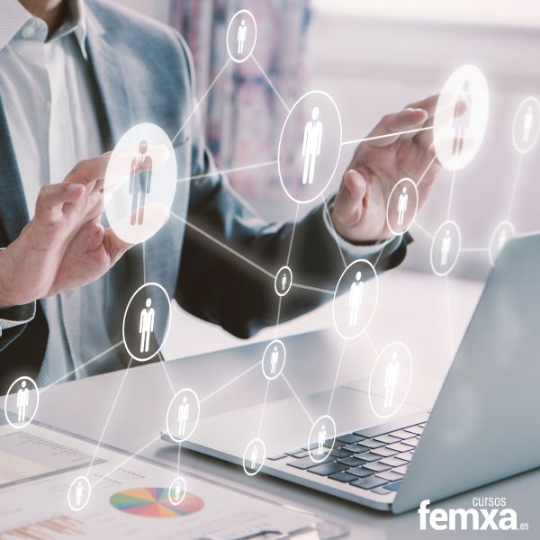 El proceso de selección ideal