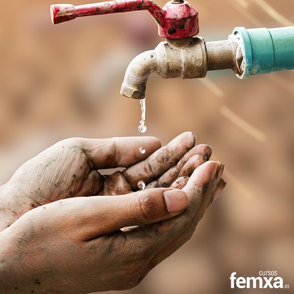 Plantas desaladoras: cómo funcionan y por qué son clave para el futuro