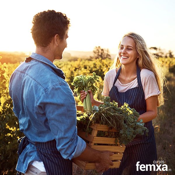 Todo lo que debes saber sobre agricultura ecológica
