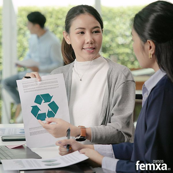 Cómo implementar la ISO 14001 paso a paso en tu empresa